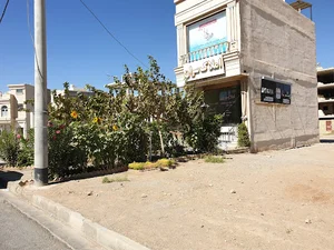 پیتزا روشا