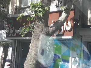 داروخانه دکتر مهرپویا 2