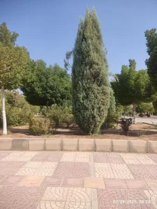 پارک کوثر 4