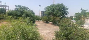 پارک