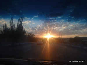 فضای سبز