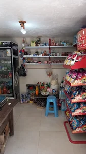 سوپر مارکت تک در دل طبیعت