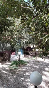باغ رستوران اطلس