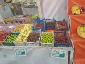 هایپر میوه برکت شهرداری قزوین