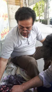 آژانس کیان سیر
