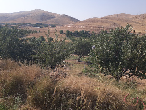 باغ دولت نژاد