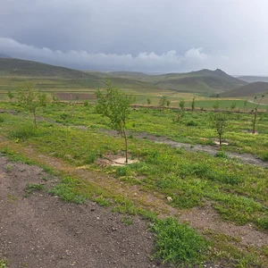 باغ حسین شادانی