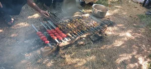 باغ گیلاس محسن گودرزی