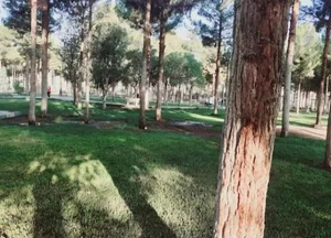 بوستان ولیعصر 2