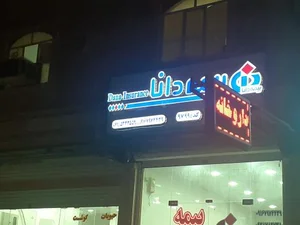 بیمه دانا 2