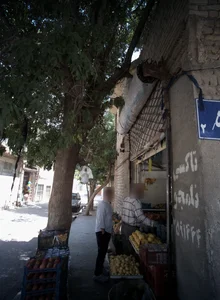 میوه فروشی 2