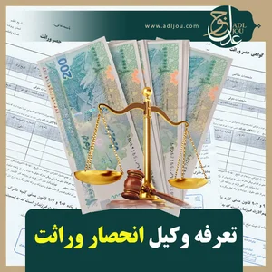 وکیل امیر نظری