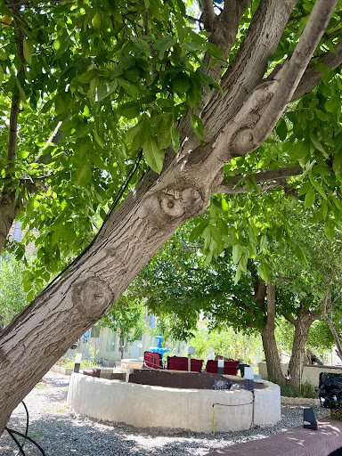 کافه و رستوران دالانپر شعبه ۲