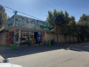 سوپر مارکت محله