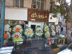 قزوین گل 2
