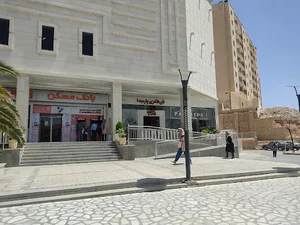 نان فانتزی پارمیدا
