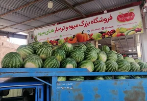 فروشگاه بزرگ میوه و تره بار قفایی