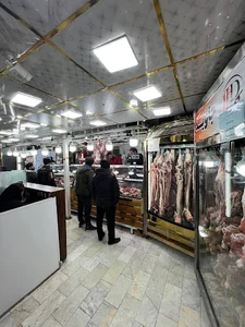 پخش گوشت جاوید