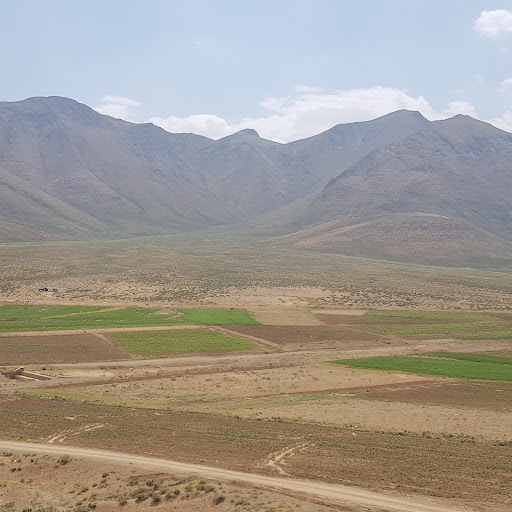 کرج اسکنر