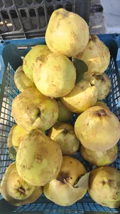 سوپر میوه کشاورز 4