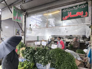 سبزی فروشی ریحانی