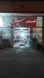 اتو سرویس سیتروئن