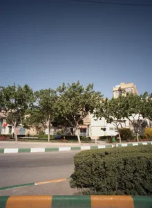 کبابی ولیعصر