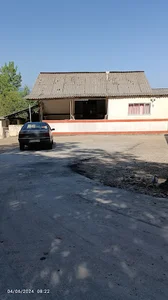 تولیدی مبل کارولینا