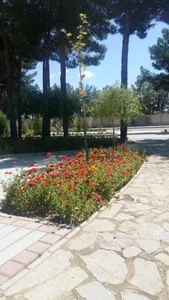 پارک بانوان 5