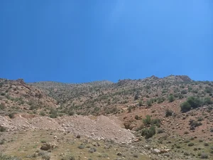 کوچه کمال الملک