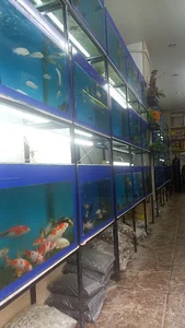 آکواریوم برکه آبی