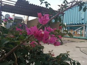 نیروگاه و آب شیرین کن کیش