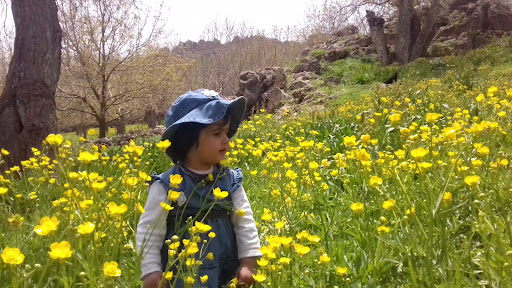 کانی مەیگۆڕێ