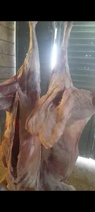 قصابی نمونه