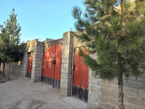 یاسین بابا کور