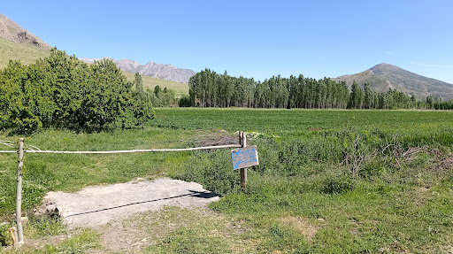 باغ گیلاس احسان پرویزی