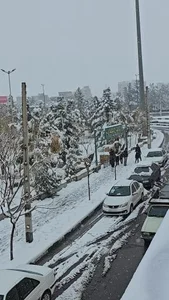 بوستان مهدی 3