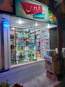 شوینده بهداشتی فردوس 3