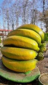 پارک شهر 5