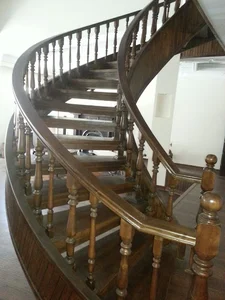 Nosraty carpenter