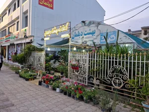 بهشت دیلمان beheshte deylaman 3
