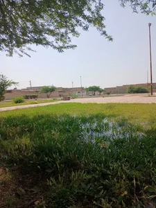 بوستان فدک