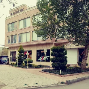 ستاره طلایی ملت