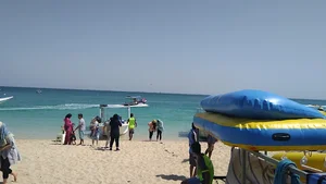 زاگرس سیر کیش
