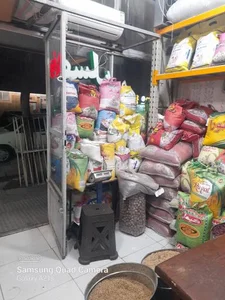 عرضه مستقیم برنج شمال 5