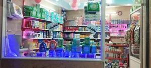 شوینده وبهداشتی روژ 4
