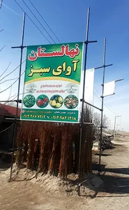 نهالستان آوای سبز