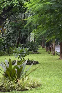 Central Excise Colony