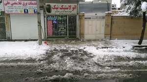 اتولاستیک نیک