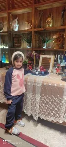فست فود کلیز 5